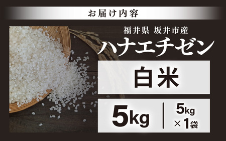 先行予約 【令和8年産・新米】 坂井市産 ハナエチゼン 白米 5kg (中瀬農産) 2026年10月以降順次発送予定 精米 おこめ [A-20505]