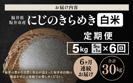 【先行予約】【令和8年産・新米】 定期便 ≪6ヶ月連続お届け≫ 坂井市産 にじのきらめき 白米 5kg×6回 計30kg (田中農園) 【2026年10月以降順次発送予定】 【米 こめ お米 精米 ブランド米 国産】 [F-20501]