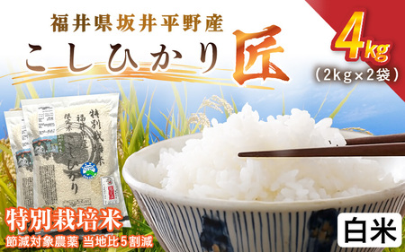 令和7年産 特別栽培米 コシヒカリ匠 4kg（2kg×2袋） 節減対象農薬当地比5割減【白米】お米 コシヒカリ [A-2992_01]
