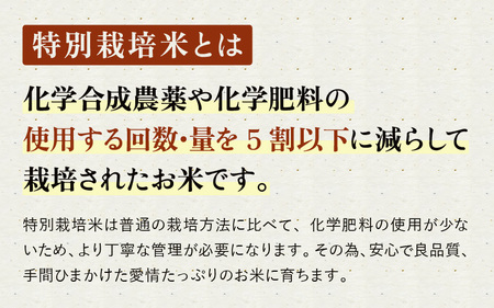 たんちょう杵つき餅セット『たべくらべ』丸もち お餅 [A-2993]