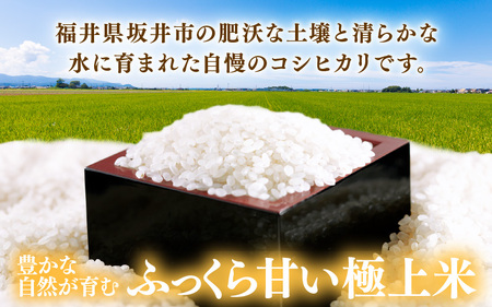 【先行予約】【令和8年産・新米】 定期便 ≪12ヶ月連続お届け≫ 坂井市産 コシヒカリ 白米 5kg×12回 計60kg (中瀬農産) 【2026年10月以降順次発送予定】 【米 こめ お米 精米 ブランド米 こしひかり 国産】 [K-20503]