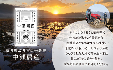 【先行予約】【令和8年産・新米】 定期便 ≪12ヶ月連続お届け≫ 坂井市産 コシヒカリ 白米 5kg×12回 計60kg (中瀬農産) 【2026年10月以降順次発送予定】 【米 こめ お米 精米 ブランド米 こしひかり 国産】 [K-20503]