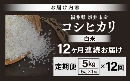 【先行予約】【令和8年産・新米】 定期便 ≪12ヶ月連続お届け≫ 坂井市産 コシヒカリ 白米 5kg×12回 計60kg (中瀬農産) 【2026年10月以降順次発送予定】 【米 こめ お米 精米 ブランド米 こしひかり 国産】 [K-20503]