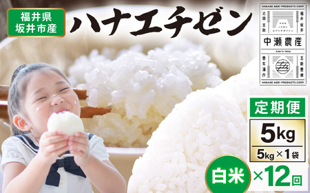 【先行予約】【令和8年産・新米】 定期便 ≪12ヶ月連続お届け≫坂井市産 ハナエチゼン 白米 5kg×12回 計60kg (中瀬農産) 【2026年10月以降順次発送予定】 【米 こめ お米 精米 ブランド米 華越前 国産】 [J-20501]
