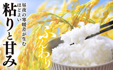 【先行予約】【令和8年産・新米】 定期便 ≪6ヶ月連続お届け≫坂井市産 ハナエチゼン 白米 10kg (5kg×2袋)×6回 計60kg (中瀬農産) 【2026年10月以降順次発送予定】 【米 こめ お米 精米 ブランド米 華越前 国産】 [J-20502]