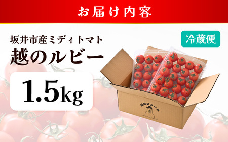 【先行予約】 とろ甘 越のルビー 1.5kg 高糖度ミディトマト とまと 【2026年6月下旬以降順次発送予定】 [A-21702]