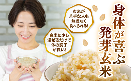 【期間限定】【2ヶ月連続お届け】【令和7年産】発芽玄米 特別栽培米 ミルキークイーン 2kg×2回（計4kg）発芽玄米 [C-2935]