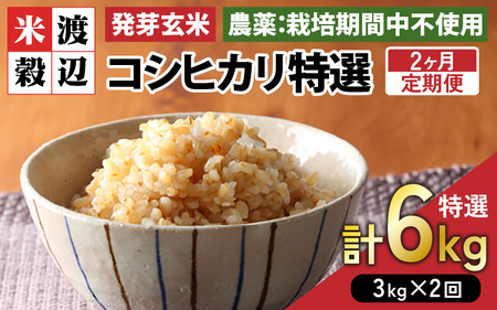 【期間限定】【2ヶ月連続お届け】【令和7年産】発芽玄米 コシヒカリ「特選」特別栽培米使用 3kg×2回（計6kg）【米 こしひかり 玄米 ギャバ GABA 無農薬 特別栽培 食物繊維 栄養 真空パック ごはん ご飯 おいしい ふるさと納税米】 [D-2935]