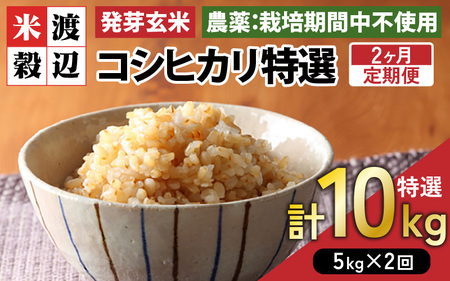 【期間限定】【2ヶ月連続お届け】【令和7年産】発芽玄米 コシヒカリ「特選」特別栽培米使用 5kg×2回（計10kg）【米 こしひかり 玄米 ギャバ GABA 無農薬 特別栽培 食物繊維 栄養 真空パック ごはん ご飯 おいしい ふるさと納税米】 [F-2925]