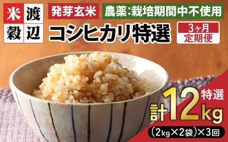 【期間限定】【3ヶ月連続お届け】【令和7年産】発芽玄米 コシヒカリ「特選」特別栽培米使用 4kg（2kg×2袋）×3回（計12kg）【米 こしひかり 玄米 ギャバ GABA 特別栽培 食物繊維 栄養 真空パック ごはん ご飯 おいしい ふるさと納税米】 [H-2906]