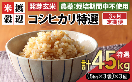 【期間限定】【3ヶ月連続お届け】【令和7年産】発芽玄米 コシヒカリ「特選」特別栽培米使用 15kg（5kg×3袋）×3回（計45kg）【米 こしひかり 玄米 ギャバ GABA 無農薬 特別栽培 食物繊維 栄養 真空パック ごはん ご飯 おいしい ふるさと納税米】 [O-2905]