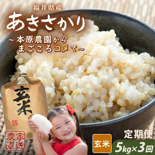 【令和7年産】(玄米) 定期便 3ヶ月連続お届け あきさかり 5kg × 3回 計15kg ブランド米 米 [C-8963_02]