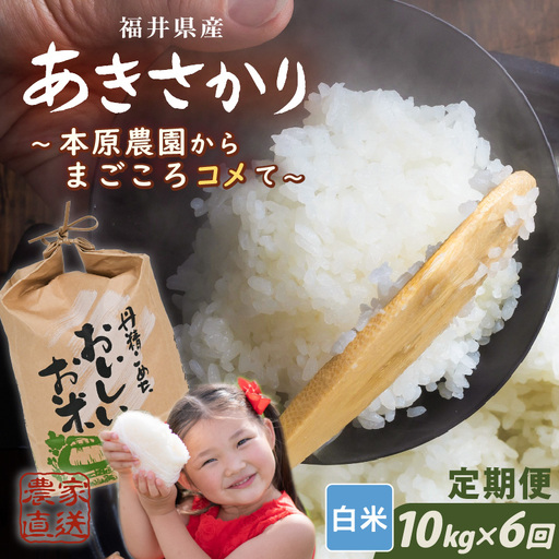 【令和7年産】(白米) 定期便 6ヶ月連続お届け あきさかり 10kg (5kg×2袋) × 6回 計60kg ブランド米 米 [K-8908_01]