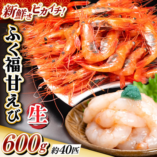 先行予約 新鮮 ふく福甘えび（生）600g 2026年9月上旬以降順次発送予定