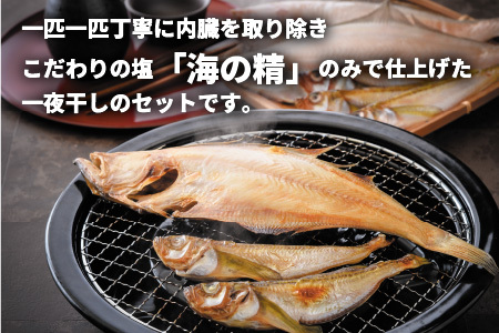 こだわりの「干物セット」 オススメ干物2種入り [A-0617]
