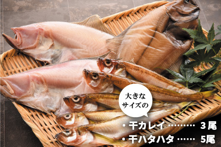 こだわりの「干物セット」 オススメ干物2種入り [A-0617]