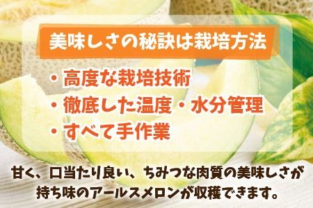 【先行予約】これぞメロンの王様！ 「アールスメロン」 2玉 化粧箱入り 【2025年9月中旬以降順次発送予定】【メロン めろん フルーツ デザート 果物 くだもの 果実 青肉 糖度 甘い ジューシー お取り寄せ グルメ 産地直送】 [A-1002]