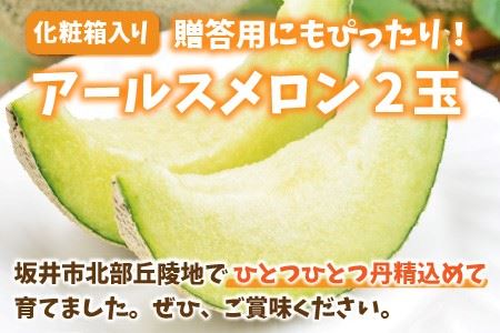 【先行予約】これぞメロンの王様！ 「アールスメロン」 2玉 化粧箱入り 【2025年9月中旬以降順次発送予定】【メロン めろん フルーツ デザート 果物 くだもの 果実 青肉 糖度 甘い ジューシー お取り寄せ グルメ 産地直送】 [A-1002]