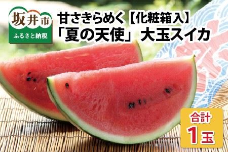 【先行予約】甘さきらめく「夏の天使」スイカ1玉 【2026年7月中旬以降順次発送予定】【スイカ 西瓜 すいか 大玉スイカ デザート 果物 くだもの 夏 ジューシー 高糖度 お取り寄せ グルメ 産地直送】 [A-1005]