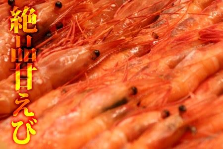 越前蟹の坊名物、三国湊 甘海老てんこ盛り [A-10103]