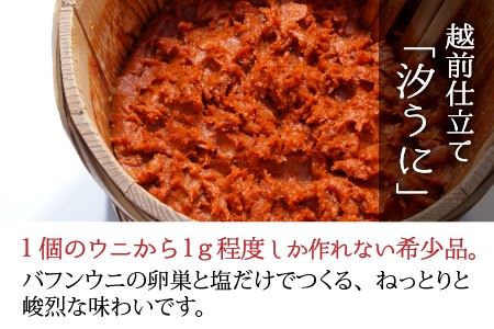 お家でゆっくり晩酌セット！ 日本三大珍味 熟成濃厚ウニ 10g と 東尋坊限定 大吟醸「佐左エ門」 720ml × 1本 [C-10501]