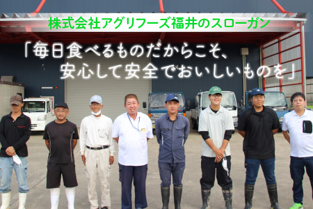 【令和7年産】 おおかわさんちの華越前 10kg 精米 [B-10803]