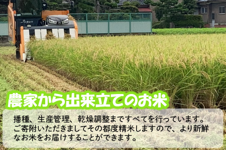 【令和7年産】 おおかわさんちの華越前 10kg 精米 [B-10803]