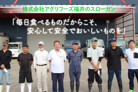 【令和7年産】 おおかわさんちのコシヒカリ 10kg [B-10802]