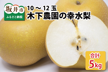 【先行予約】木下農園のみくに梨 「幸水梨」5kg（10～12玉）【2025年8月中旬以降順次発送予定】 [A-12101]