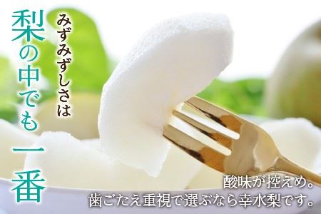 【先行予約】木下農園のみくに梨 「幸水梨」5kg（10～12玉）【2025年8月中旬以降順次発送予定】 [A-12101]