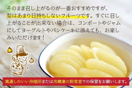 【先行予約】木下農園のみくに梨 「幸水梨」5kg（10～12玉）【2025年8月中旬以降順次発送予定】 [A-12101]