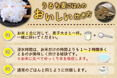 【先行予約】 六条うるち大麦 250g × 6袋 (合計1.5kg) 【2026年6月中旬以降順次発送予定】 プチプチ食感がやみつきに！ 若宮麦子でお腹スッキリ【国産大麦 うるち麦 健康 腸活 雑穀 穀物 麦ごはん 食物繊維 小分け パック】 [A-13605]