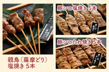 炭火がかおる、国産炭火焼 焼鳥、手羽先、照焼！ おつまみバラエティ9品セット【B-2003】