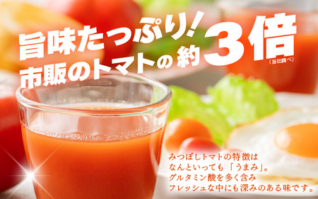 三つ星クオリティ☆真っ赤なトマトまるごと100％ジュース （720ml × 2本） 無添加 【トマトジュース トマト とまと ジュース 越のルビー リコピン GABA 抗酸化作用 健康 美肌 美白 血圧下げる ダイエット 善玉コレステロール】 [A-2607]