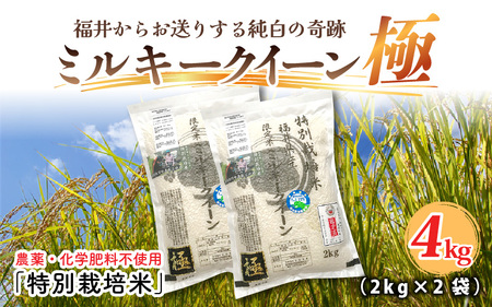 【令和6年産・新米】（白米） お米の女王！農薬・化学肥料不使用 特別栽培米 ミルキークイーン極 4kg (2kg × 2袋) [A-2965_01]