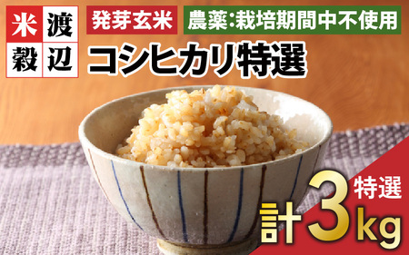 令和5年産】【発芽玄米】無農薬 福井県産 コシヒカリ特選 真空パック