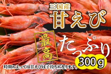 若狭牛A4等級切り落とし 400g ＋ 三国産甘えび 300g【A-3264】