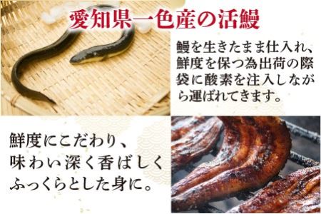 人気料理店の食べる口福お届け便 【みなみ特選刻みうなぎ 1セット3袋】【うなぎ ウナギ 鰻 蒲焼き 刻み かば焼き アレンジ 冷凍 小分け 国産 丑の日 土用の丑の日】 [A-6508]