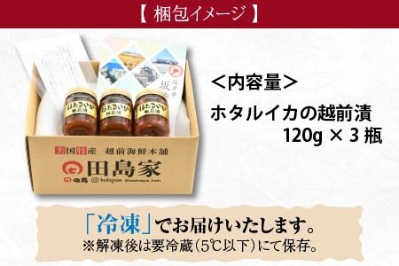 ほたるいか越前漬 120g × 3個セット [A-6239]