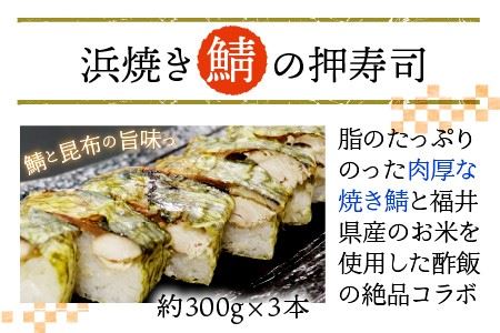 ふるさと福井の味自慢 浜焼き鯖の押寿司の 3本セット [A-8403]