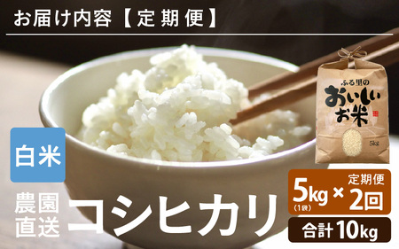 【先行予約】【令和8年産・新米】【農家直送定期便 2ヶ月コース】本原農園のまごころコメたコシヒカリ 5kg × 2回 計10kg（白米）【2026年10月上旬以降順次発送】 [B-8919_01]