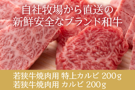 若狭牛焼肉 カルビ食べ比べセット 計400g [B-1804]