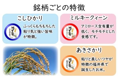 【令和6年産・新米】【低農薬】福井県産 極上無洗米 3種 計9kg『食べ比べセット』[C-8806]