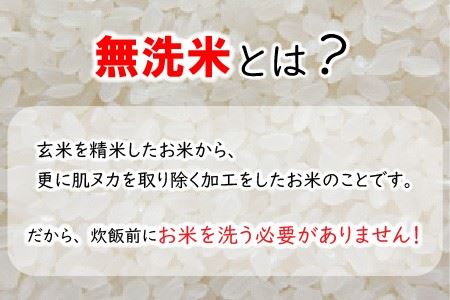 【令和6年産・新米】【低農薬】福井県産 極上無洗米 3種 計9kg『食べ比べセット』[C-8806]