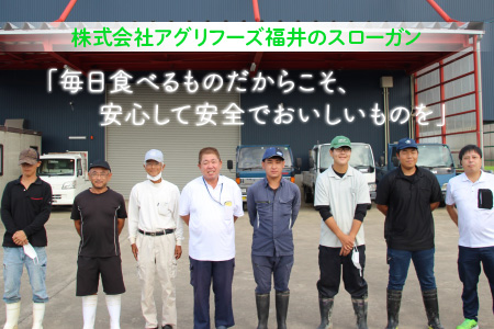 【令和7年産】 おおかわさんちの華越前 玄米 30kg [F-10804]