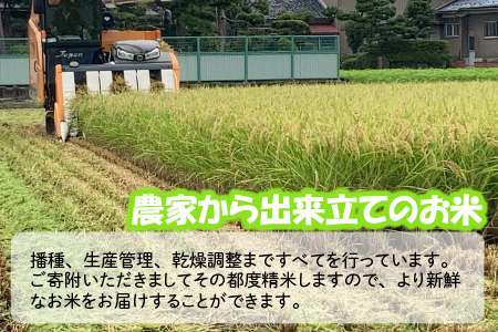 【令和7年産】 おおかわさんちの華越前 玄米 30kg [F-10804]
