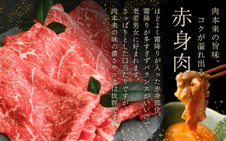 若狭牛すき焼き食べ比べセット 霜降り＆赤身 計600g [C-1803]