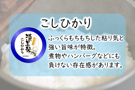 【令和6年産・新米】【3ヶ月連続お届け】福井県産 低農薬極上米 無洗米 5kg × 3回 計15kg 『こしひかり』[E-8806_01]