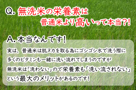 【令和6年産・新米】【3ヶ月連続お届け】福井県産 低農薬極上米 無洗米 5kg × 3回 計15kg 『こしひかり』[E-8806_01]