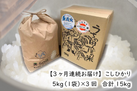 【令和6年産・新米】【3ヶ月連続お届け】福井県産 低農薬極上米 無洗米 5kg × 3回 計15kg 『こしひかり』[E-8806_01]